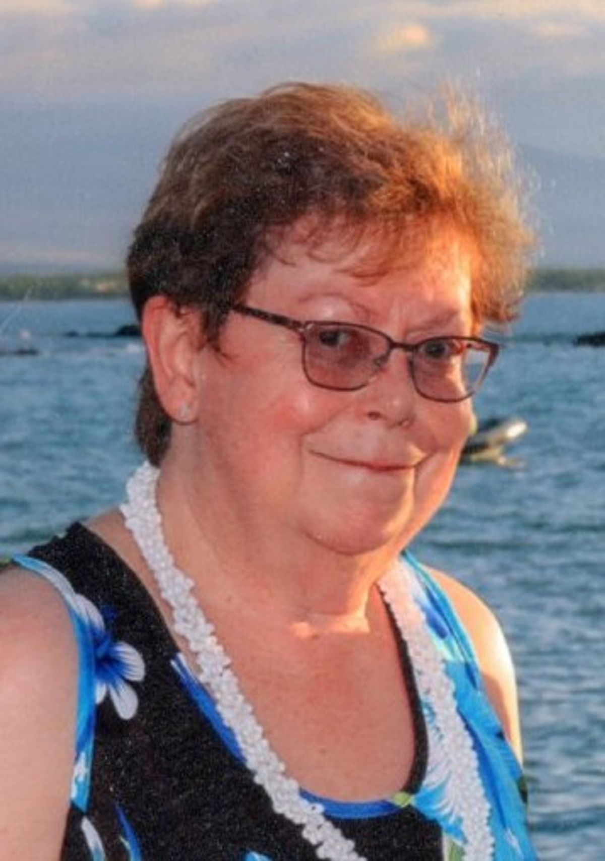 黛比·L·H·雷斯维克