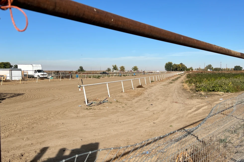 U.S. citizens and legal residents sue over aggressive immigration raid at Idaho horse racing track - home hero image