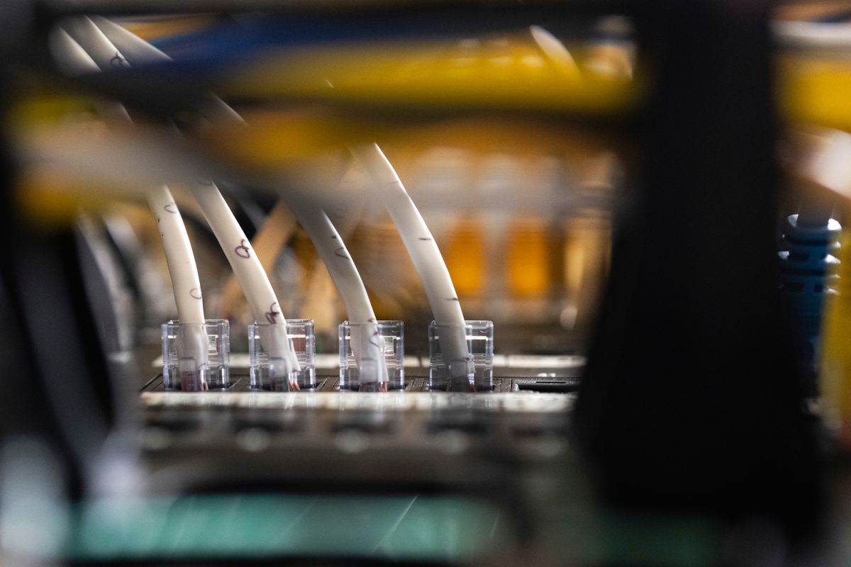 What to know about the AI-detected security bug impacting wi...