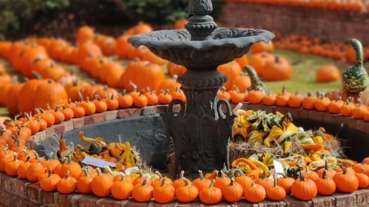 Downtown Natchez Pumpkin Patch Festival