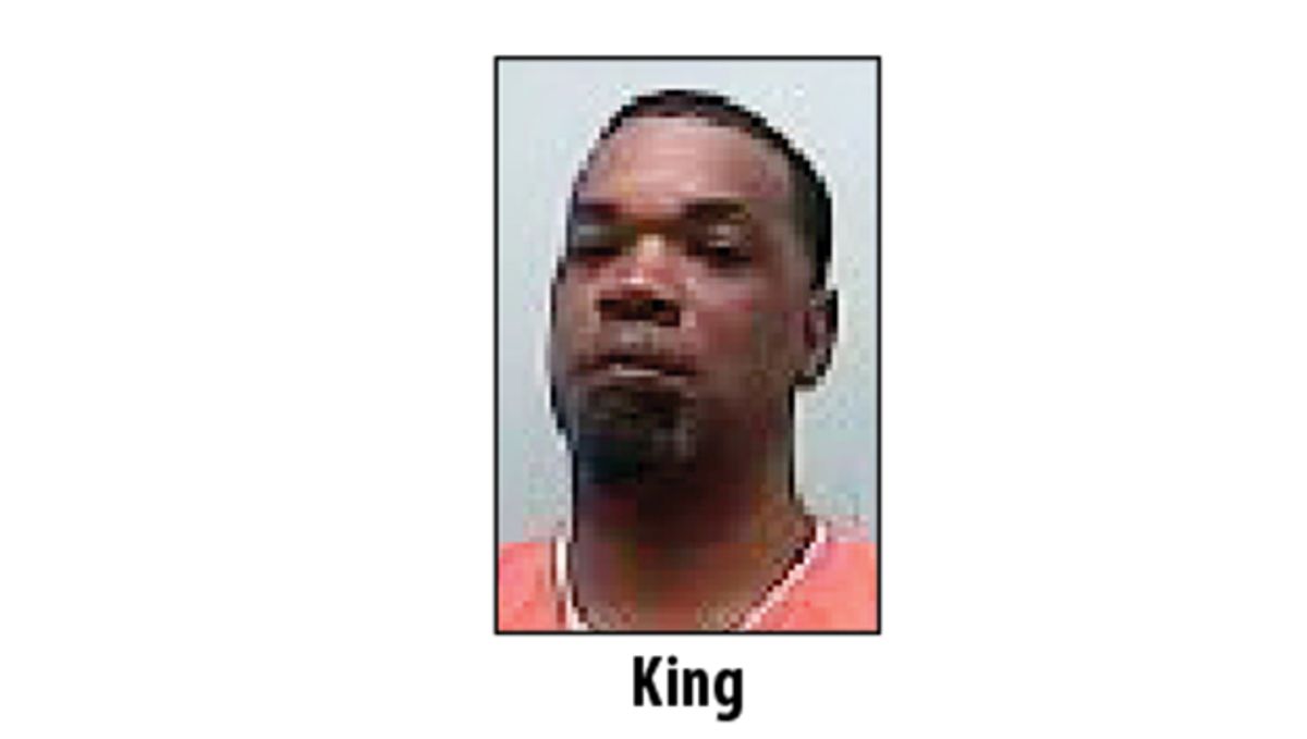 Man pleads guilty to starving dogs in animal cruelty case