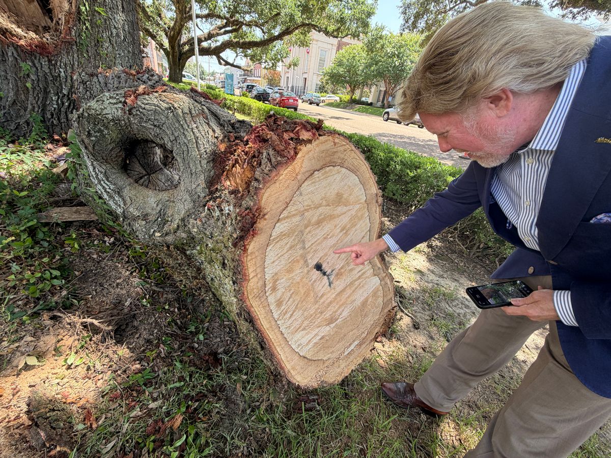 Natchez approves $3,768 to help preserve damaged City Hall l...