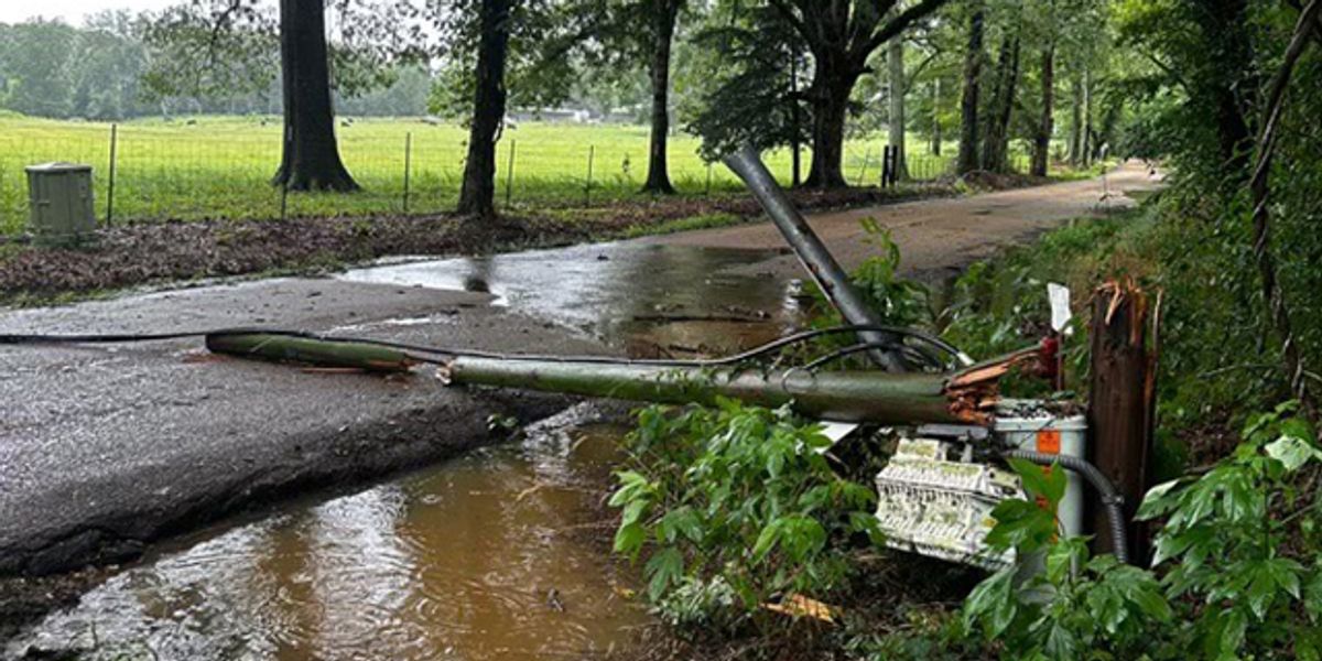 Heavy rains bring down tree, utility poles