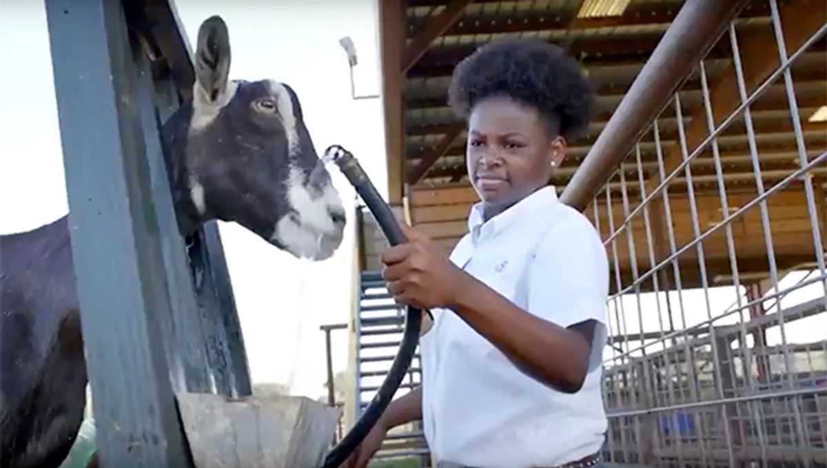 Bright future: Natchez student shines with her goats in extension serv...