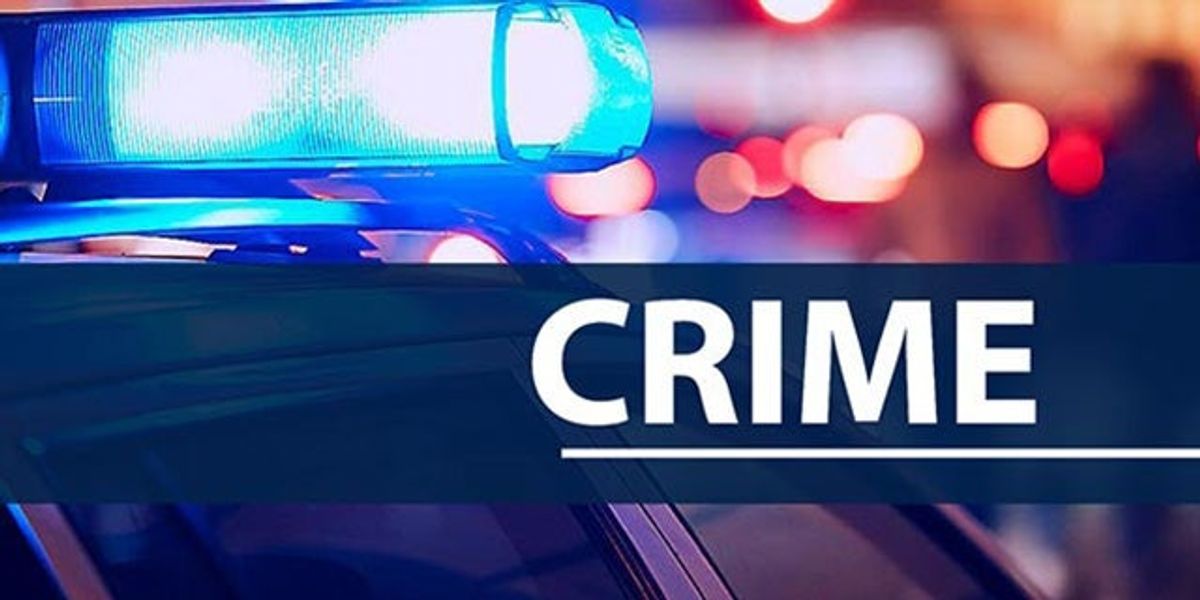 Vidalia police arrests two people in drug bust with two pounds of mari...