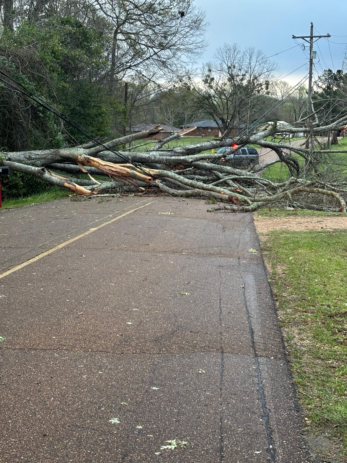 Some roads remain blocked by down trees, power lines in Adam...