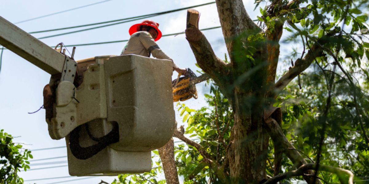 UPDATE: Thousands still without power after storm