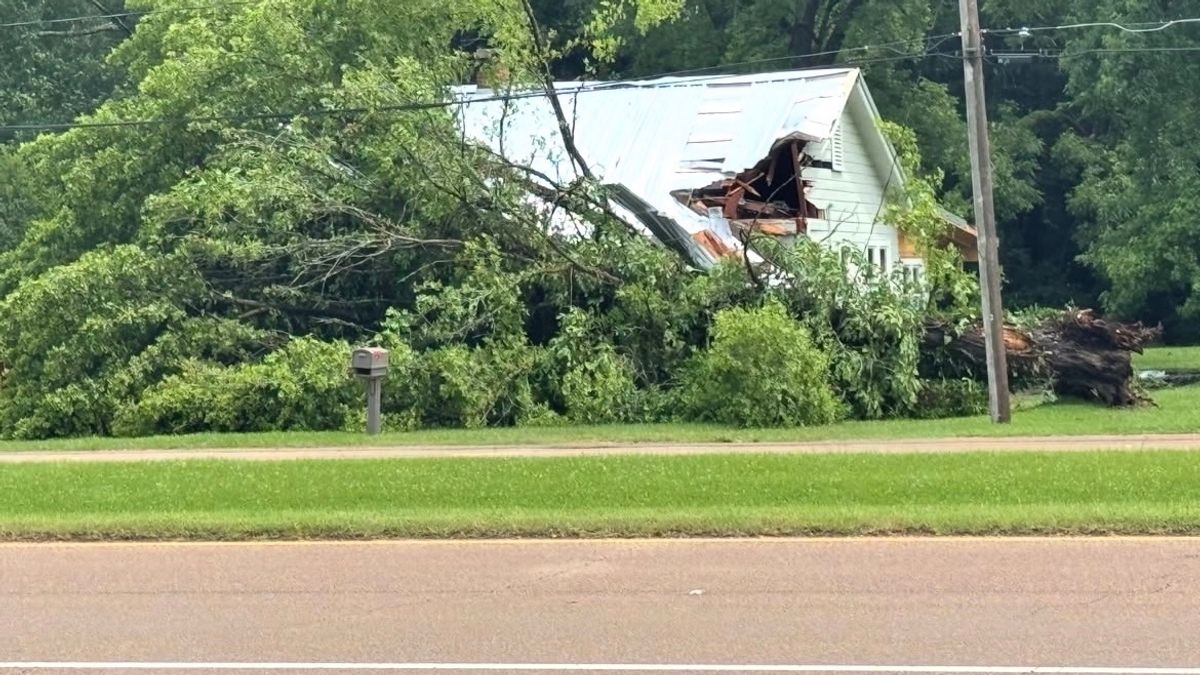 Afternoon storm causes fallen trees and 2,000 plus power out...