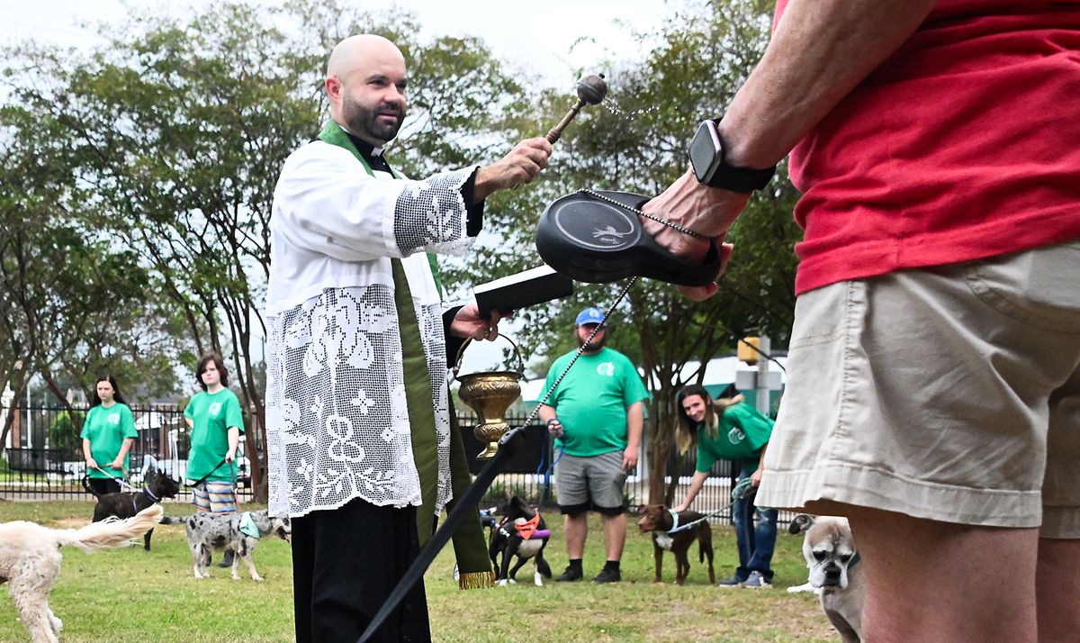 St. Mary Basilica blessing of the pets brings community and ...