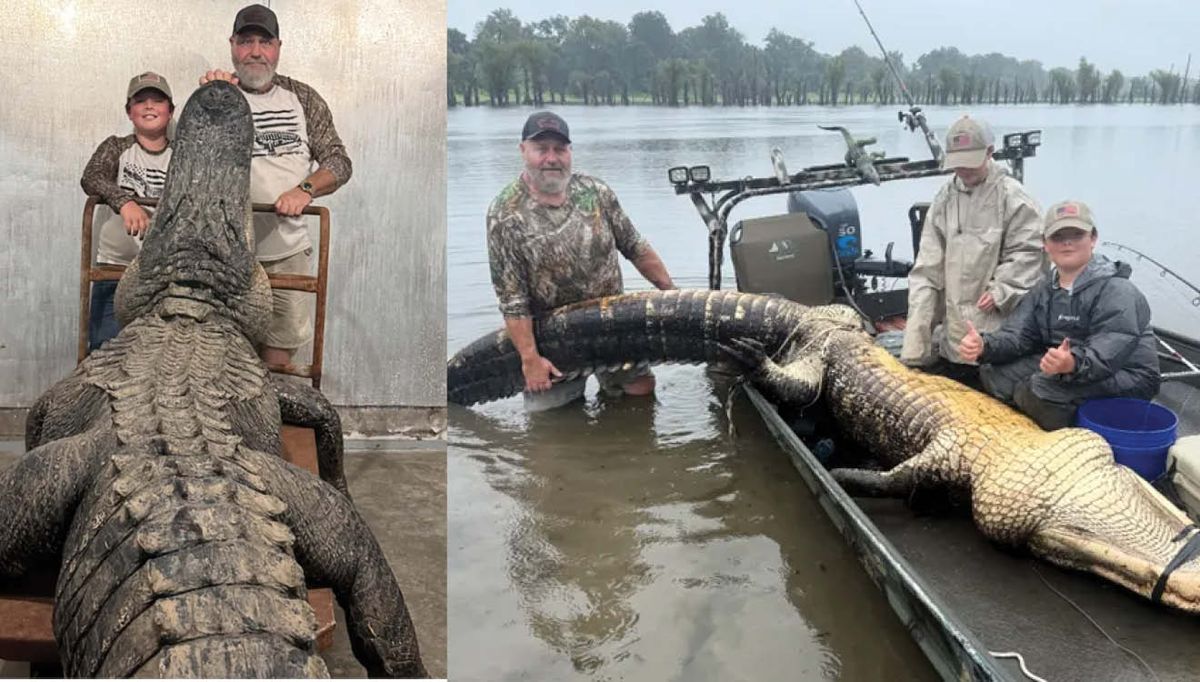 'It was as big as a floating tree': Hunters bag massive gato...