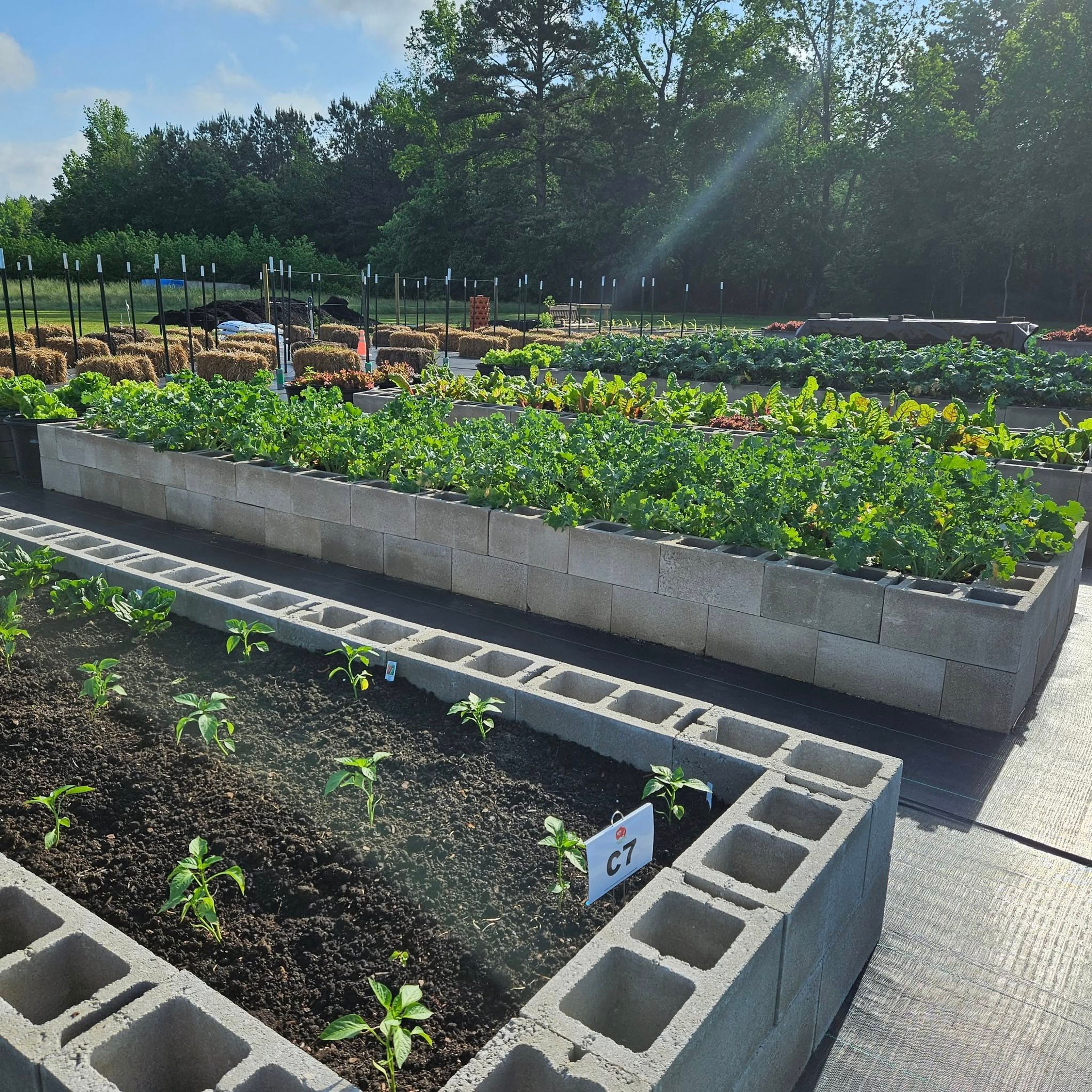 Raffle will benefit community garden
