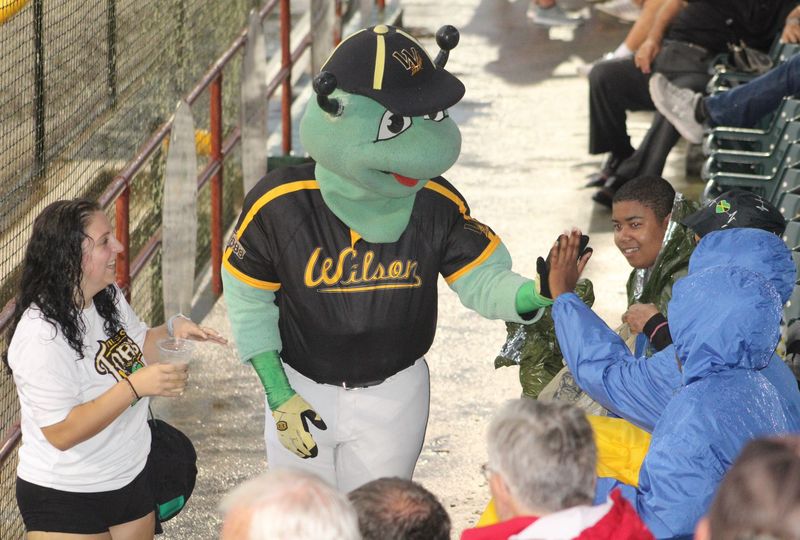 Study tempers baseball hopes