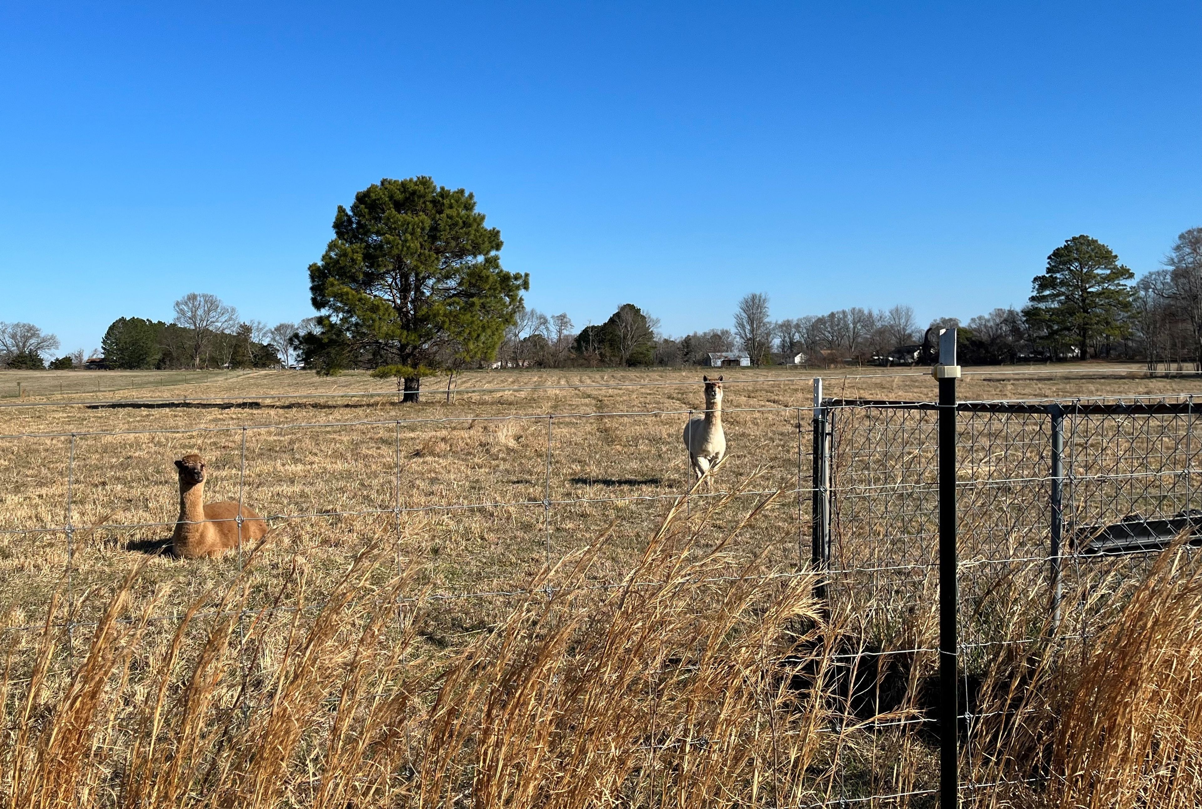 TLC eyes another 1,000 acres in Johnston County