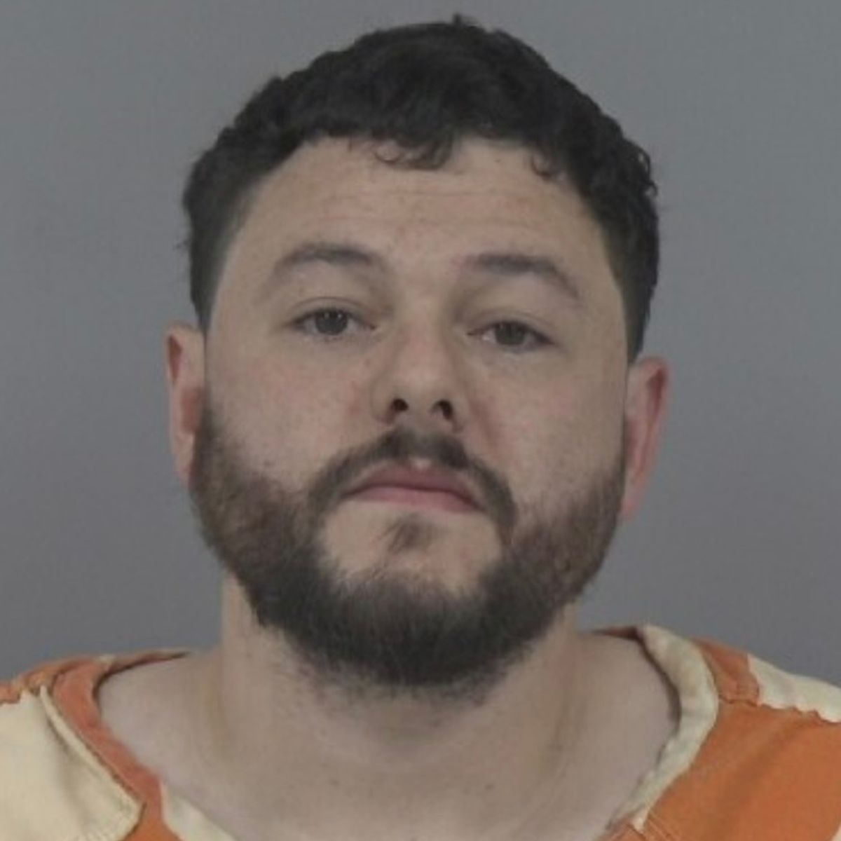 Johnston County man arrested on domestic violence charges