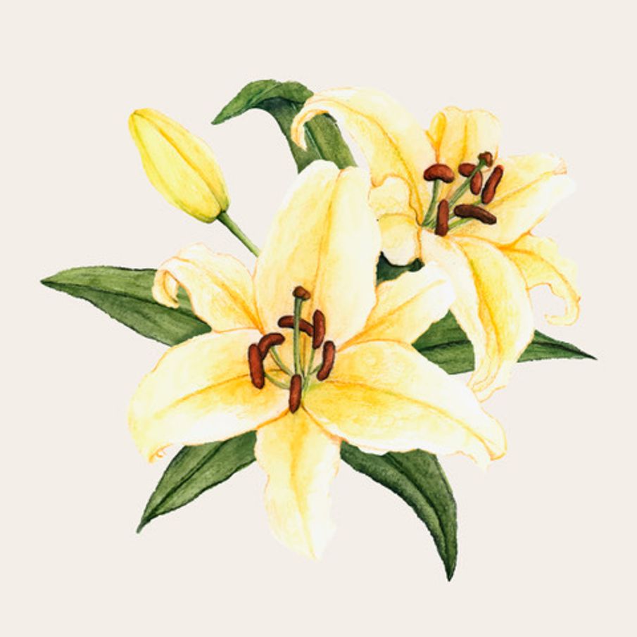 The latest Obituaries News, Stories, and Articles The Johnstonian News.