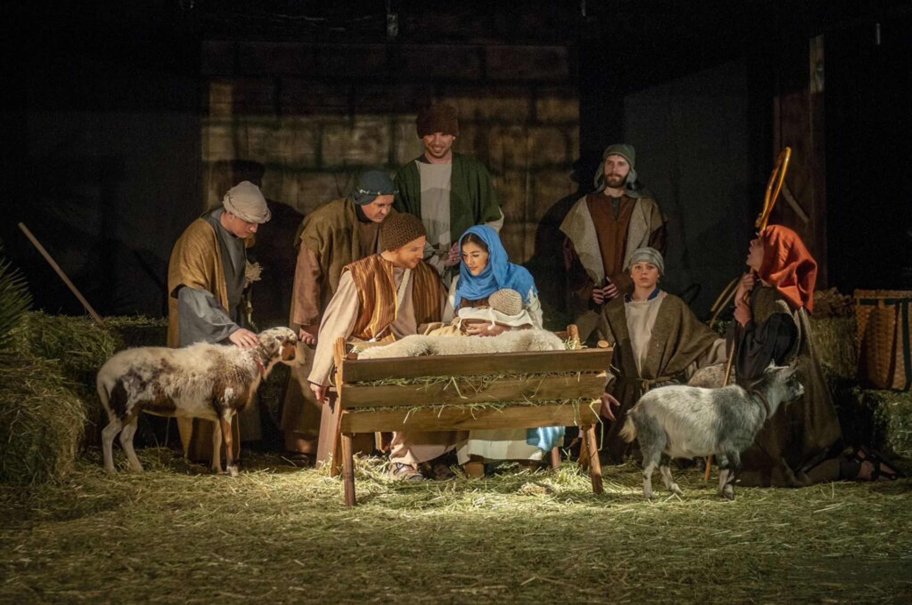 Sonlight Farms near Kenly will host a live nativity this weekend. Stock photo | Pixabay