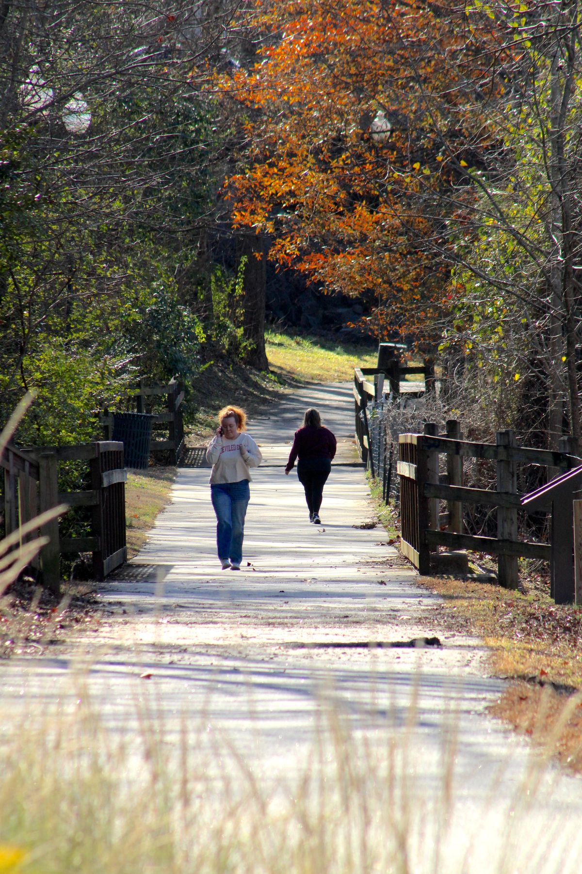Nice day for a walk