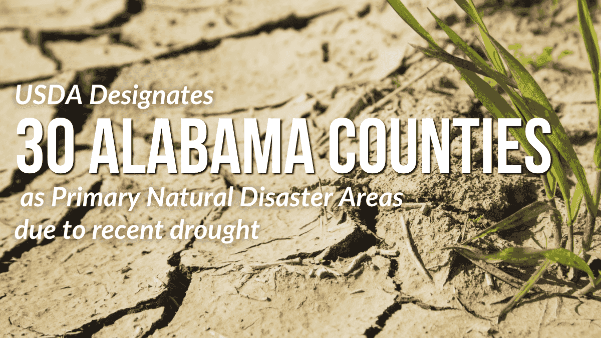 USDA designates primary natural disaster areas