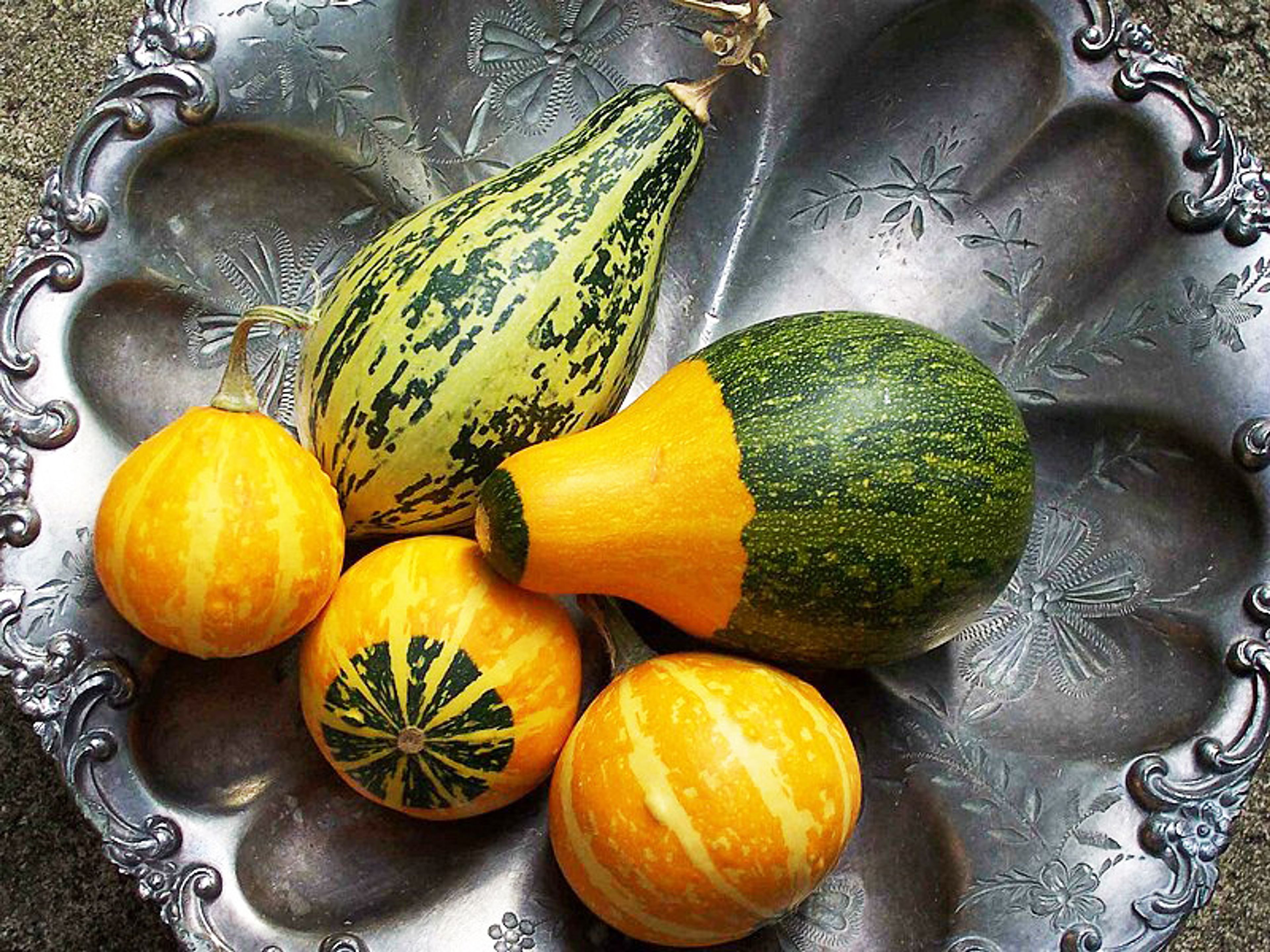 Gourds have been used to make everything from kitchen utensils to bongo drums.