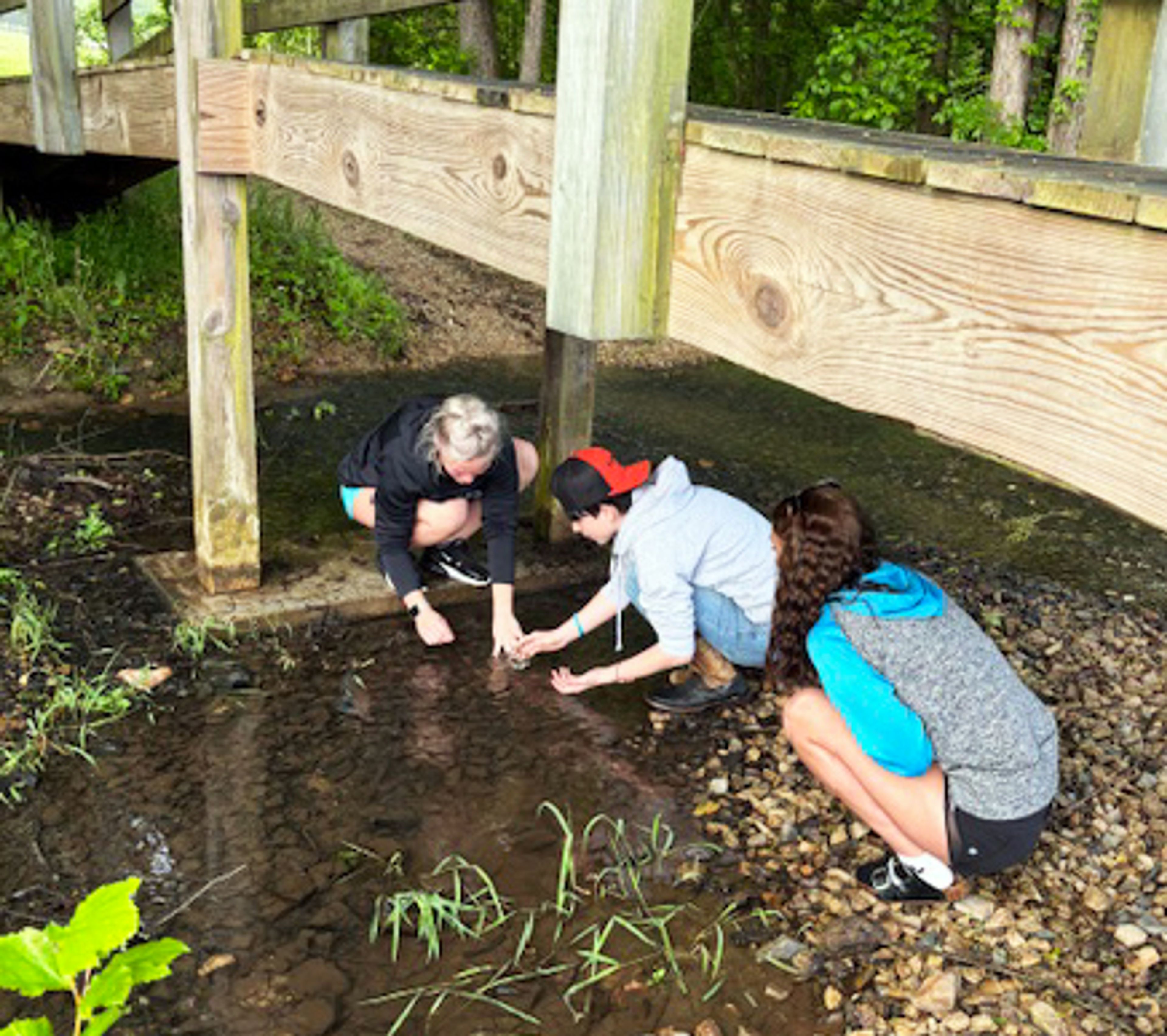 Woodland students in Kaitlin Prasanphanich’s biology class take samples from the creek behind the school to investigate them for microscopic life. When the students were finished, they returned their samples to their habitat.