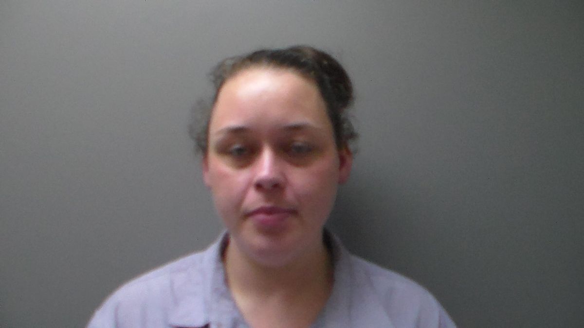 Troy woman arrested on child endangerment charges