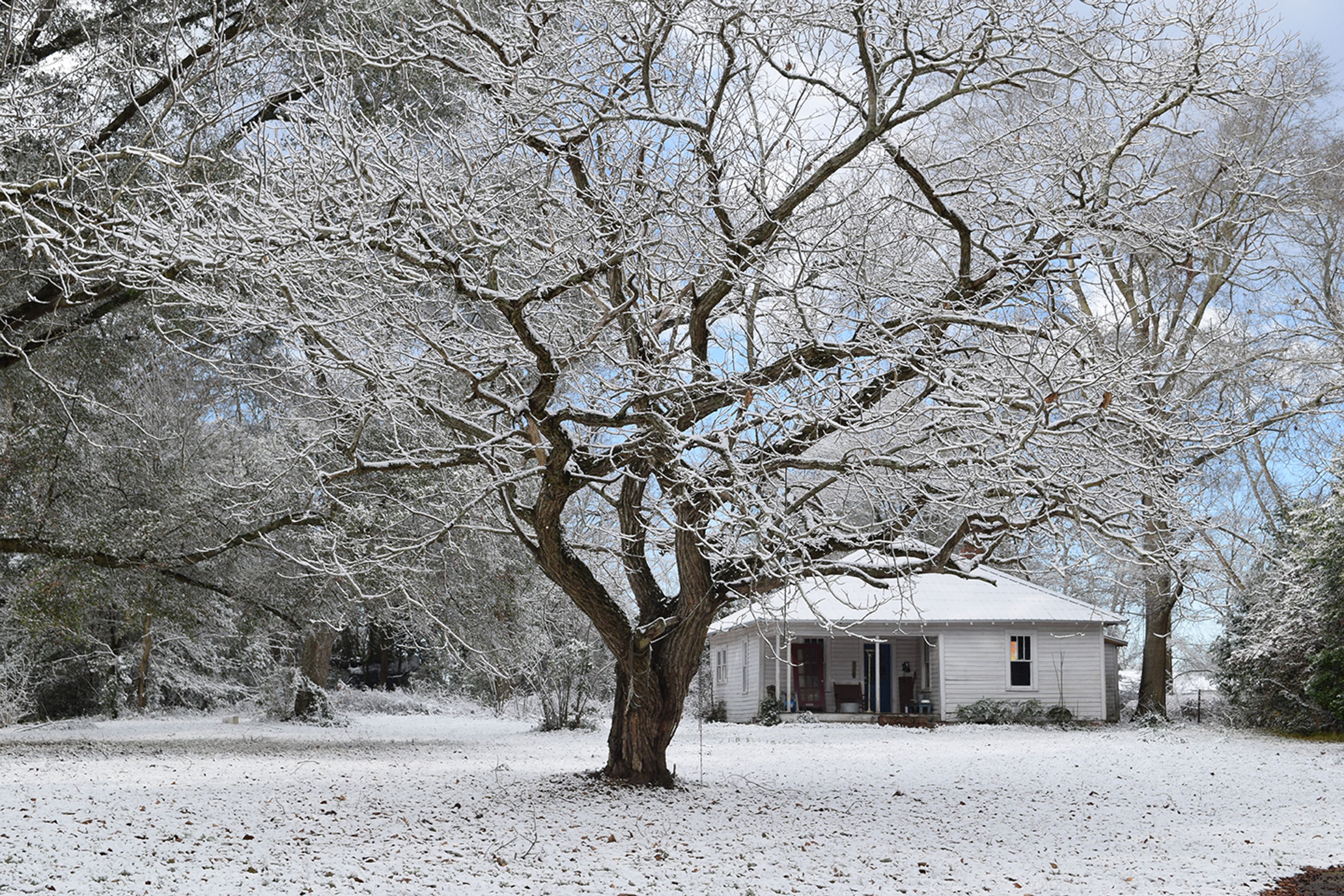 Photos from Brundidge snowfall