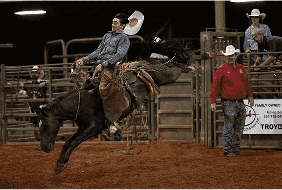 Professional cowboys to rodeo