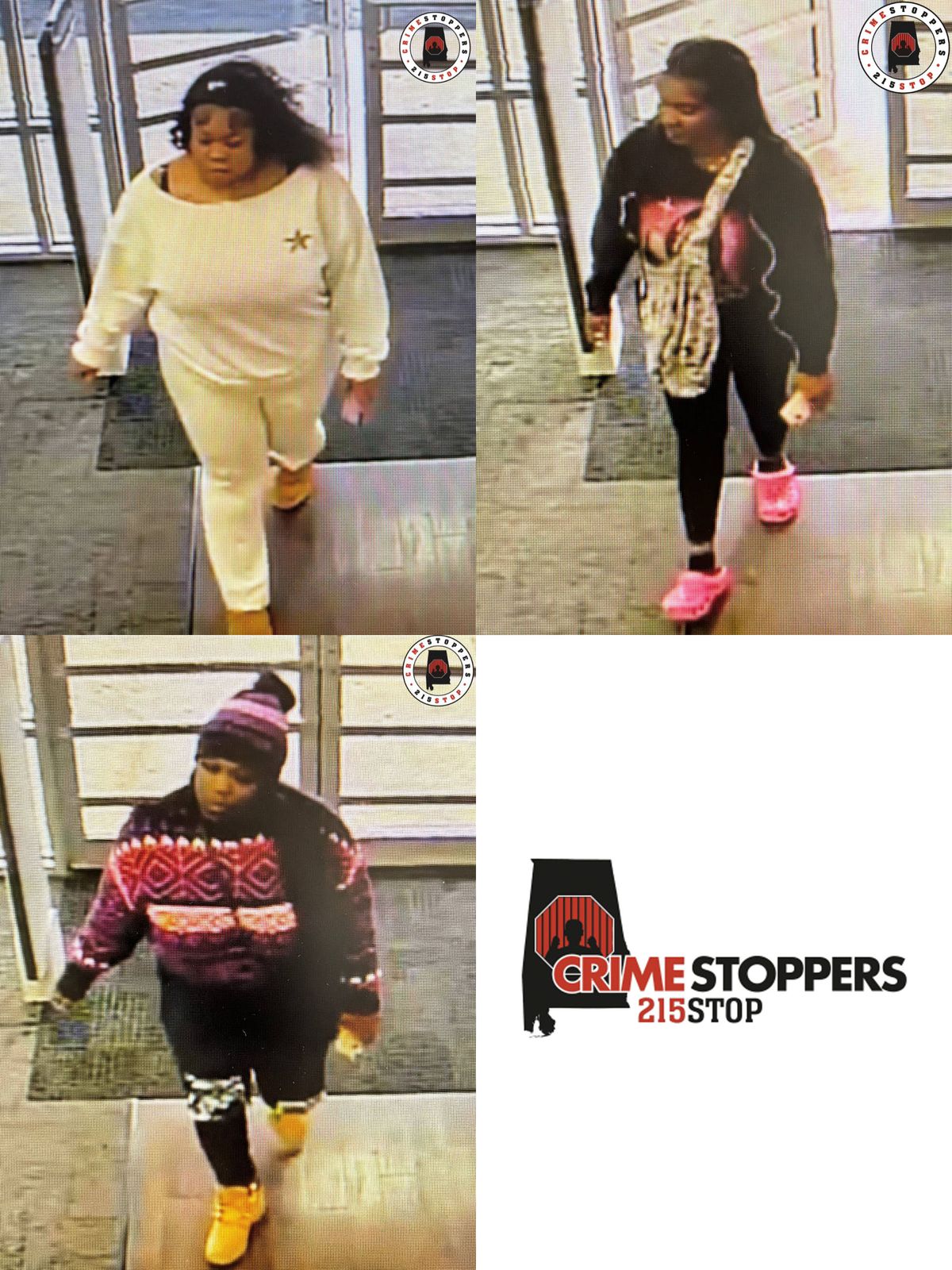 Troy Police seek help identifying suspects in Hibbett Sports...