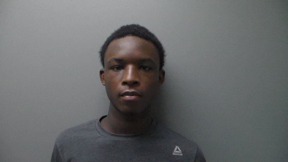 Troy teen charged with capital murder