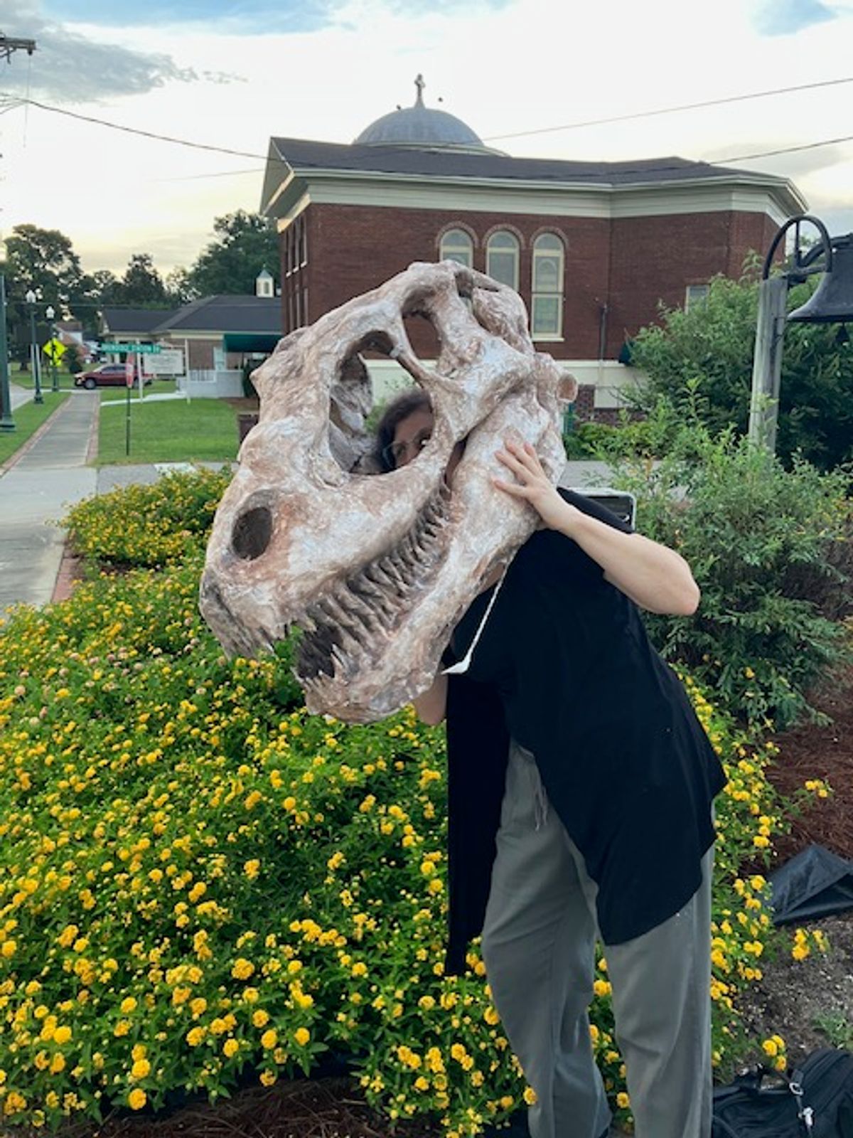Where the dinosaurs roam