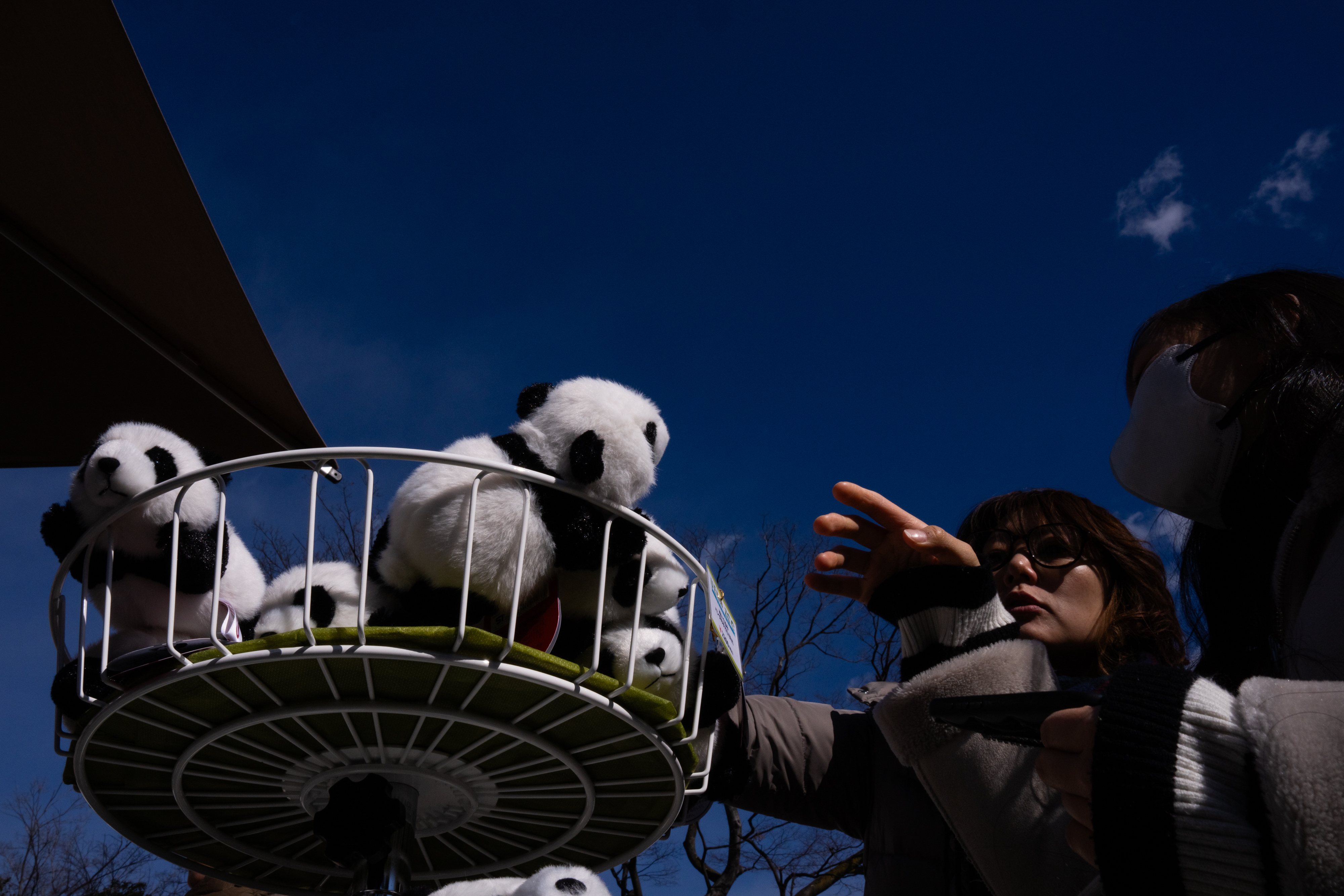 Photos shows Japan's love of pandas as twins Xiao Xiao and L