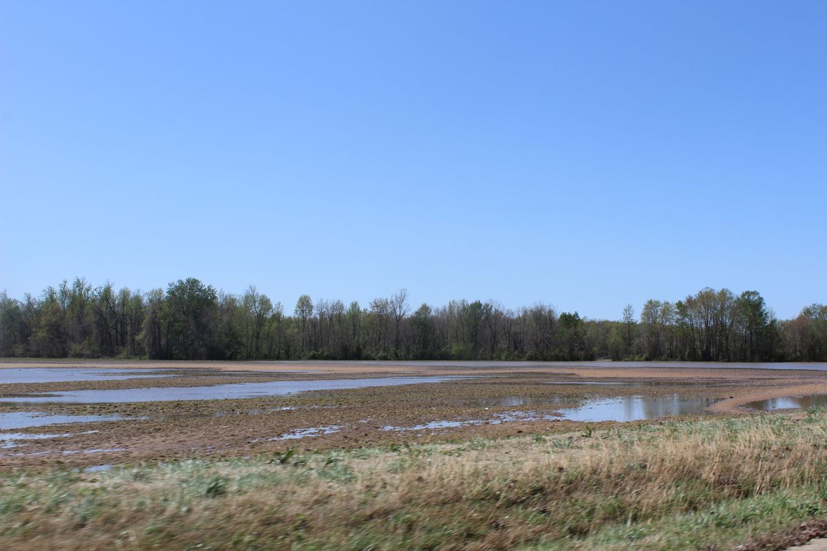 PHOTO GALLERY: Flood waters recede by CR 608