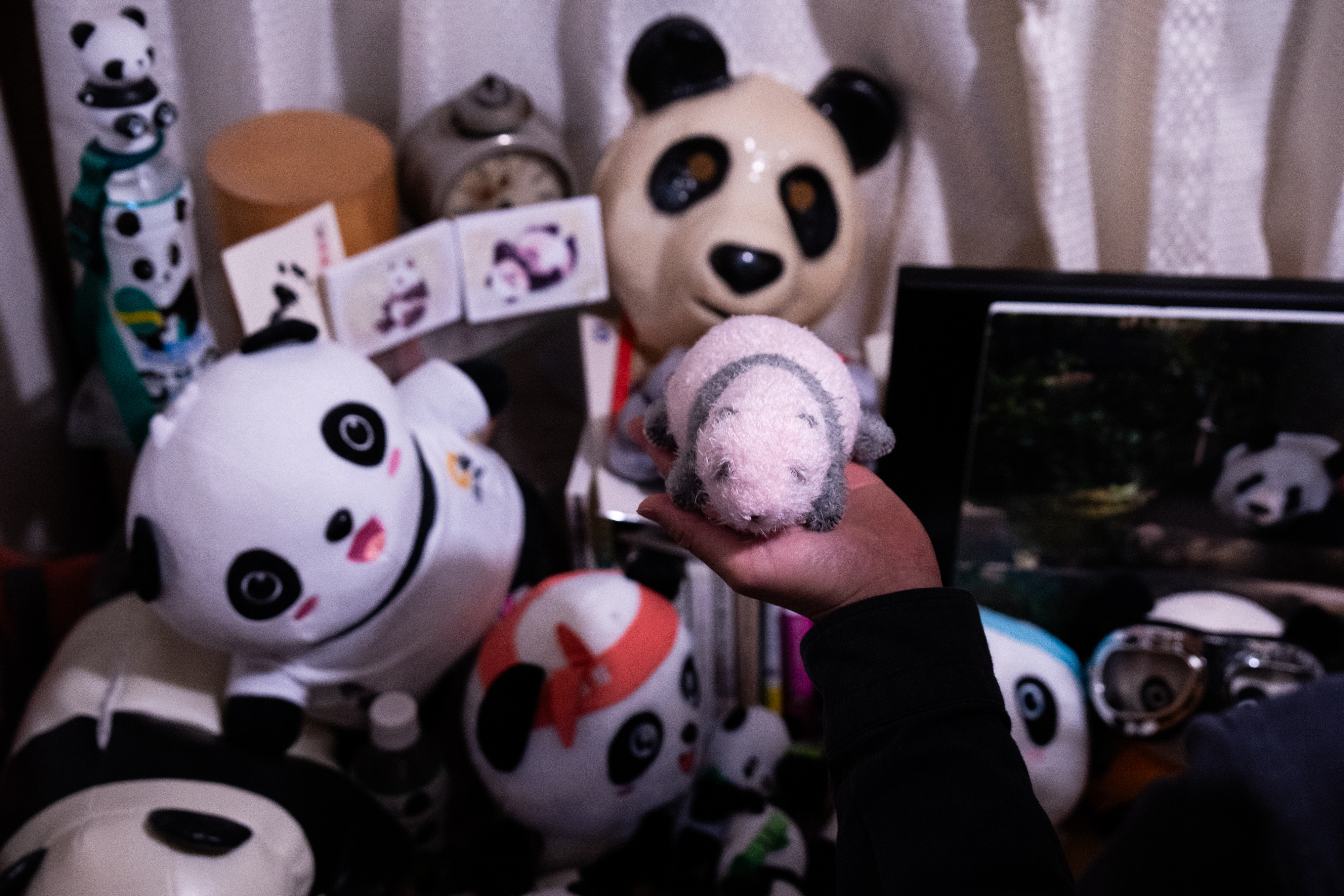 Photos shows Japan's love of pandas as twins Xiao Xiao and L