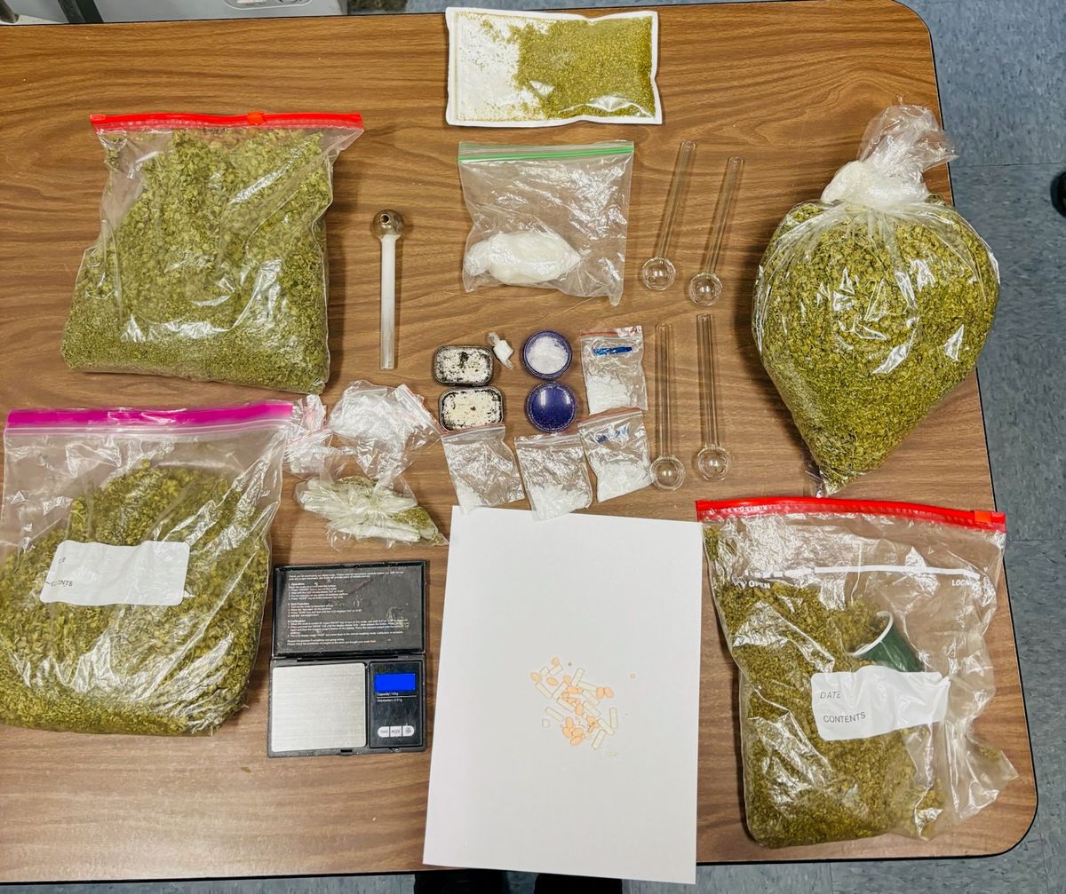 Traffic stop near Dexter leads to drug trafficking charges f...