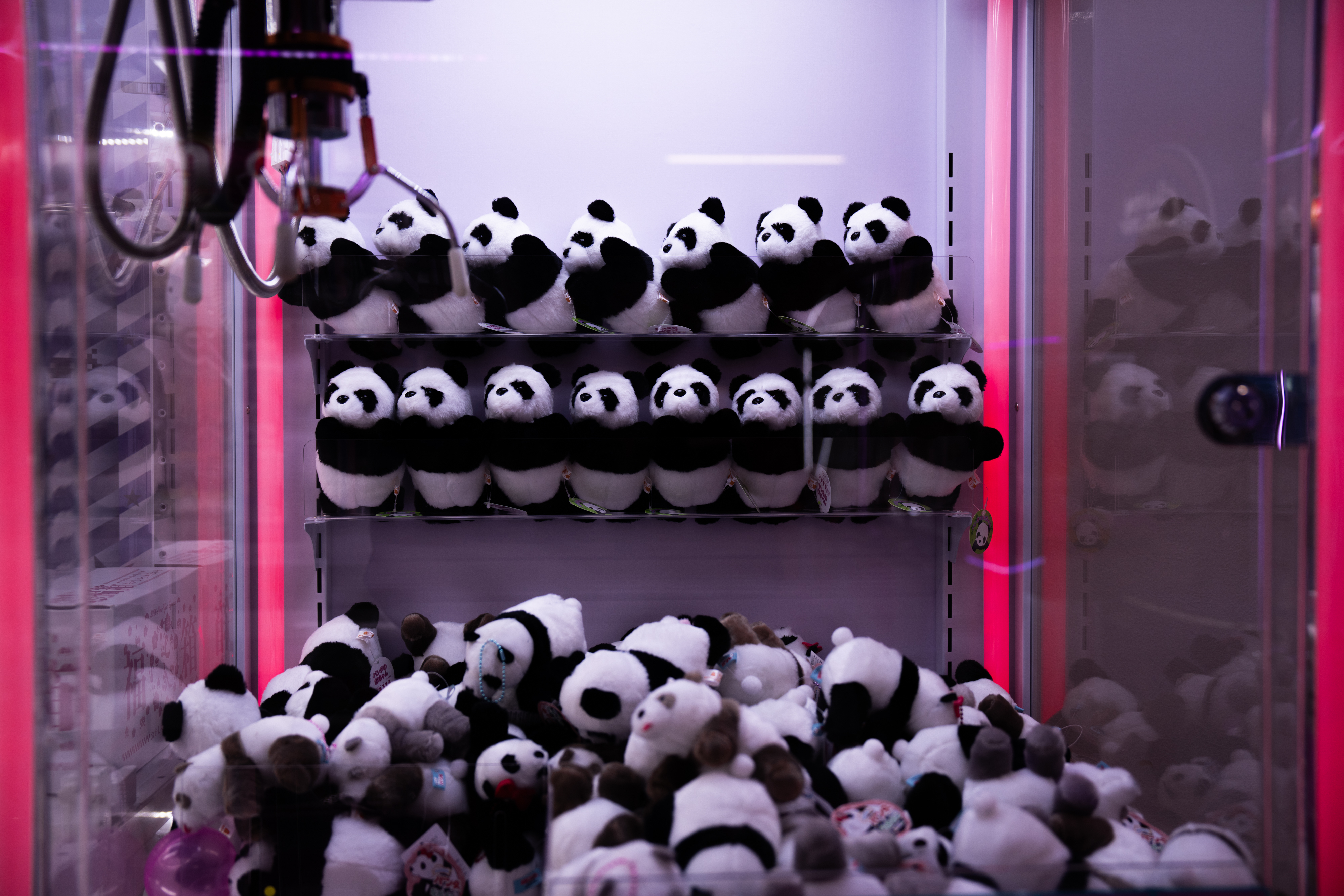 Photos shows Japan's love of pandas as twins Xiao Xiao and L