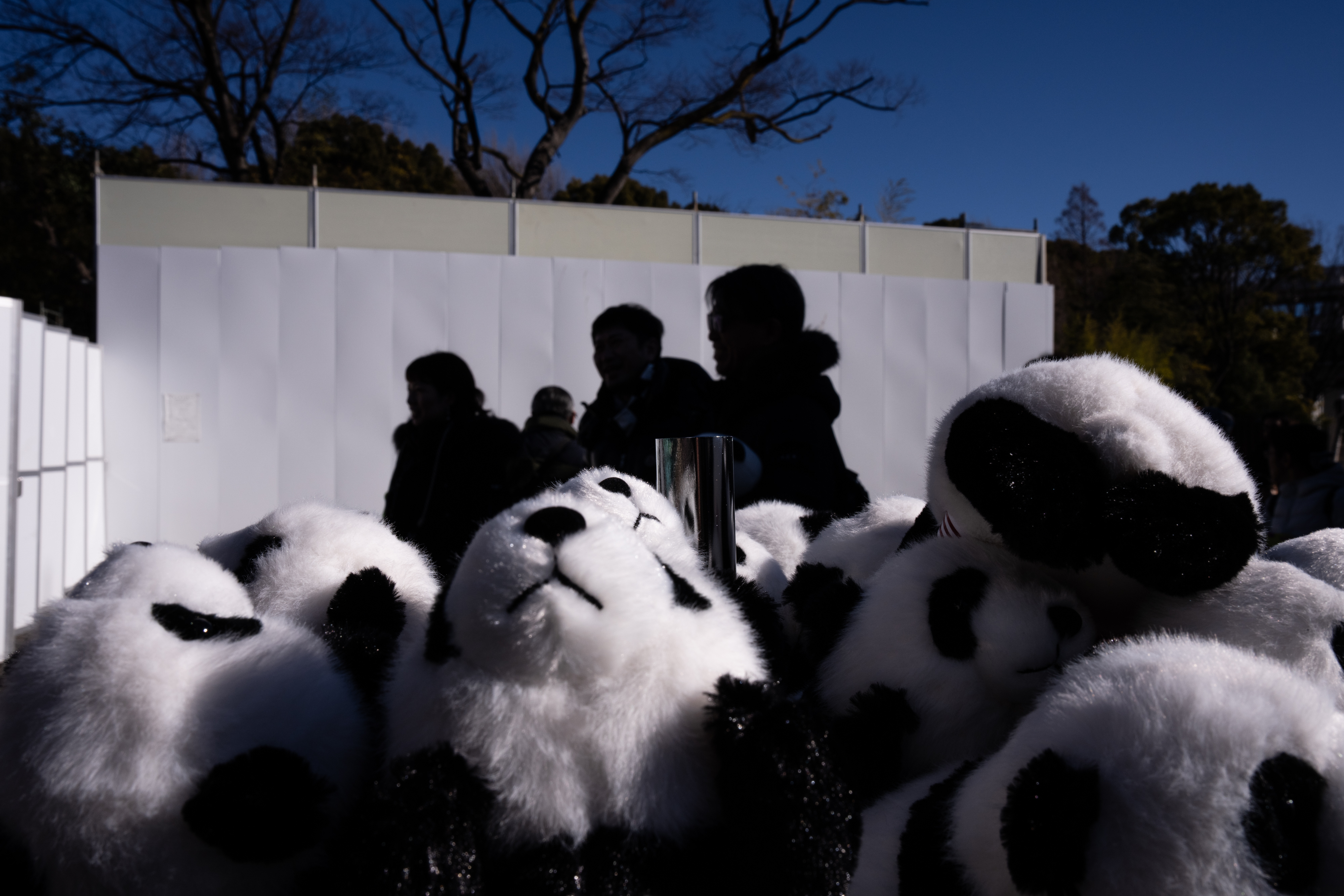 Photos shows Japan's love of pandas as twins Xiao Xiao and L