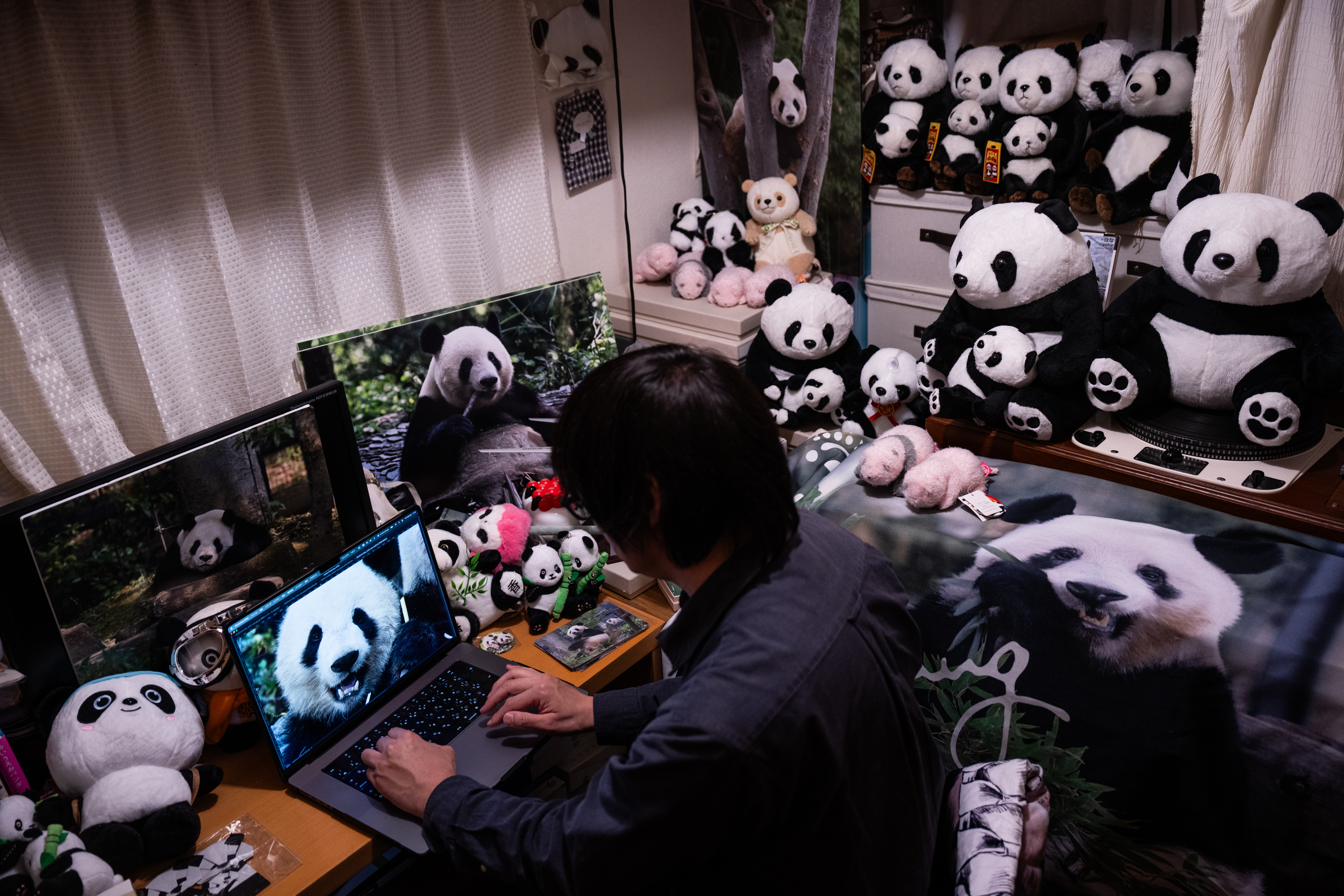 Photos shows Japan's love of pandas as twins Xiao Xiao and L