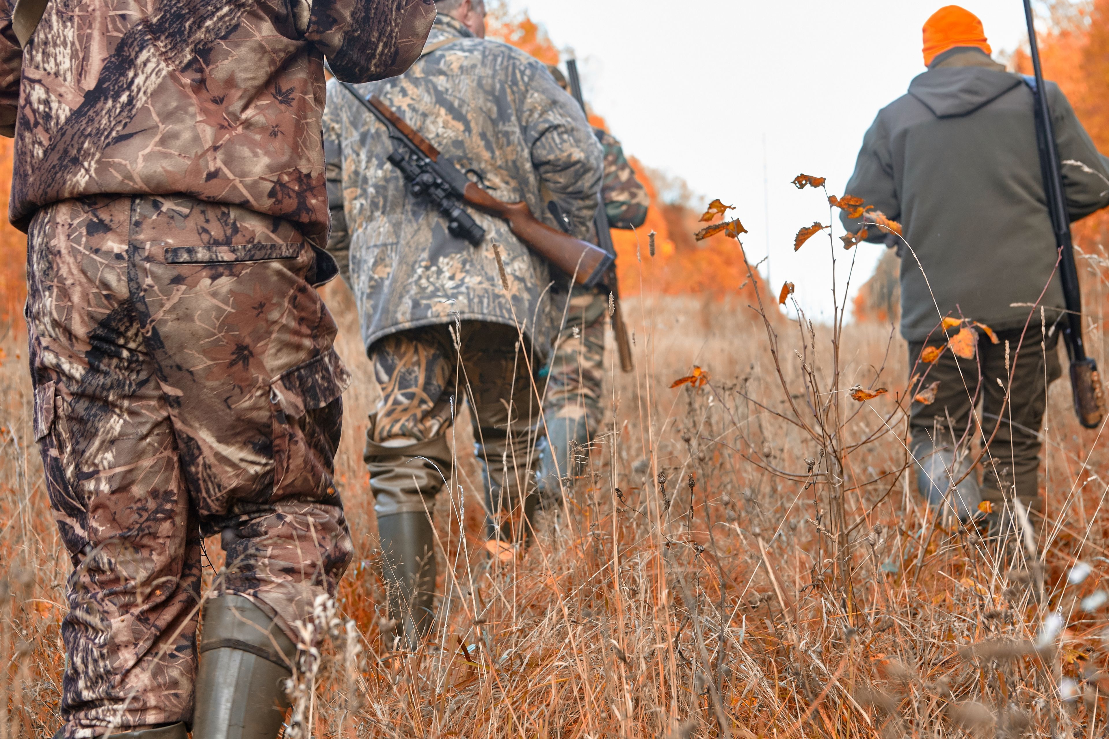 Missouri Conservation Commission suspends hunting privileges for over Oxly individual