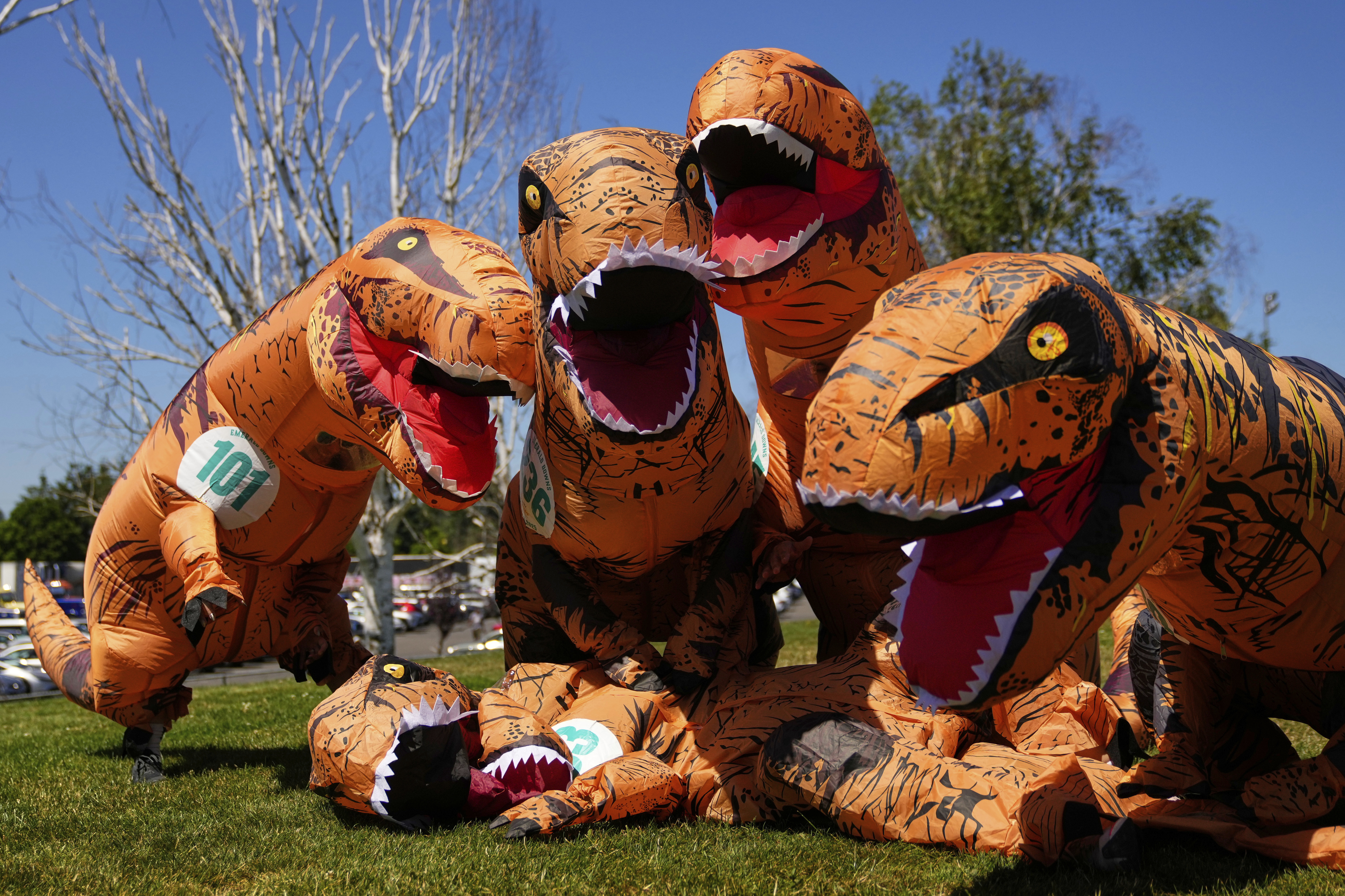 Photo highlights from T-Rex World Championship Races