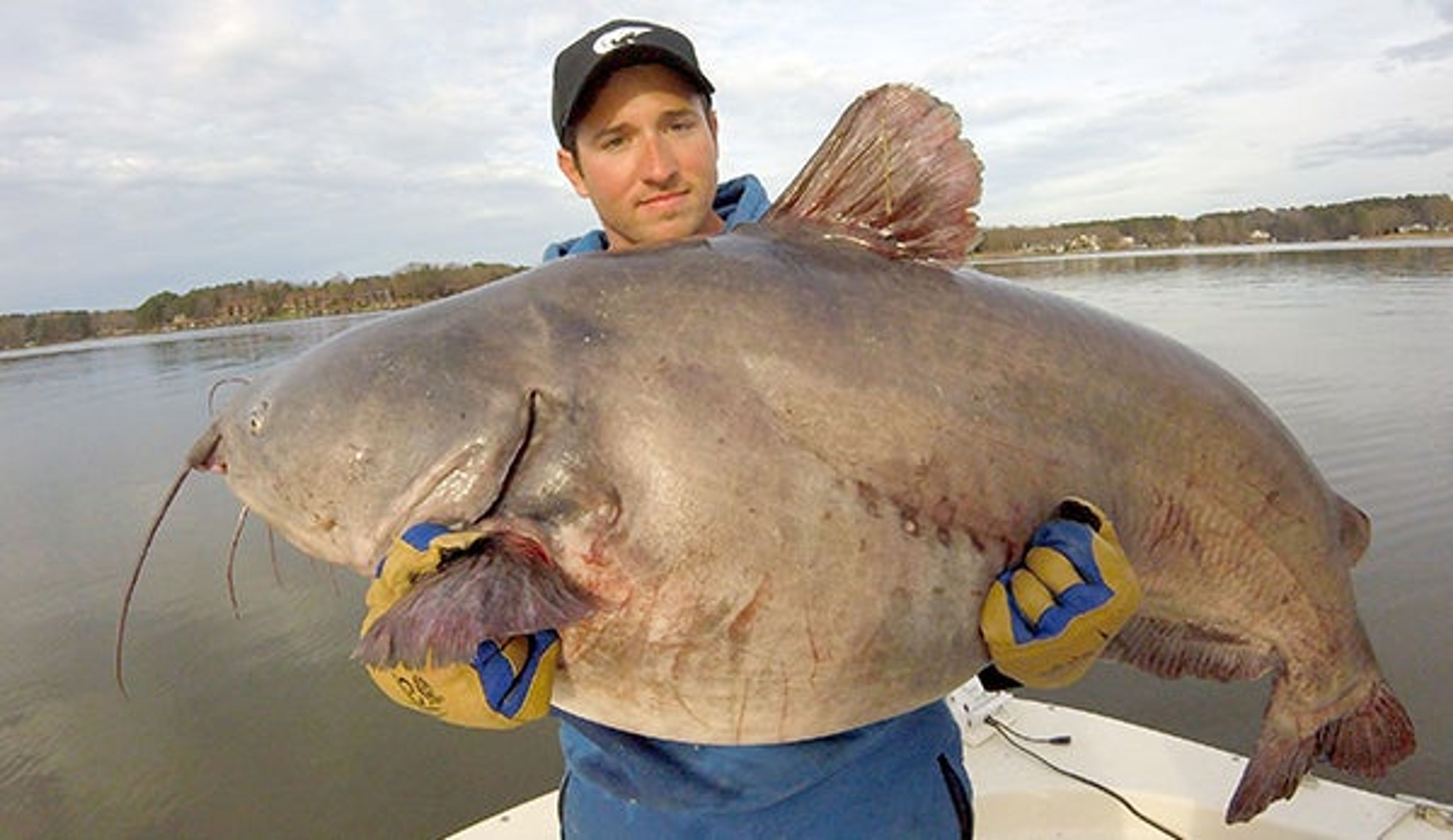 lady dressed as catfish Meet 'Catfish Girl' Hannah Barron, the glam fishing queen who has caught  the eye of Ole Miss head coach Lane Kiffin
