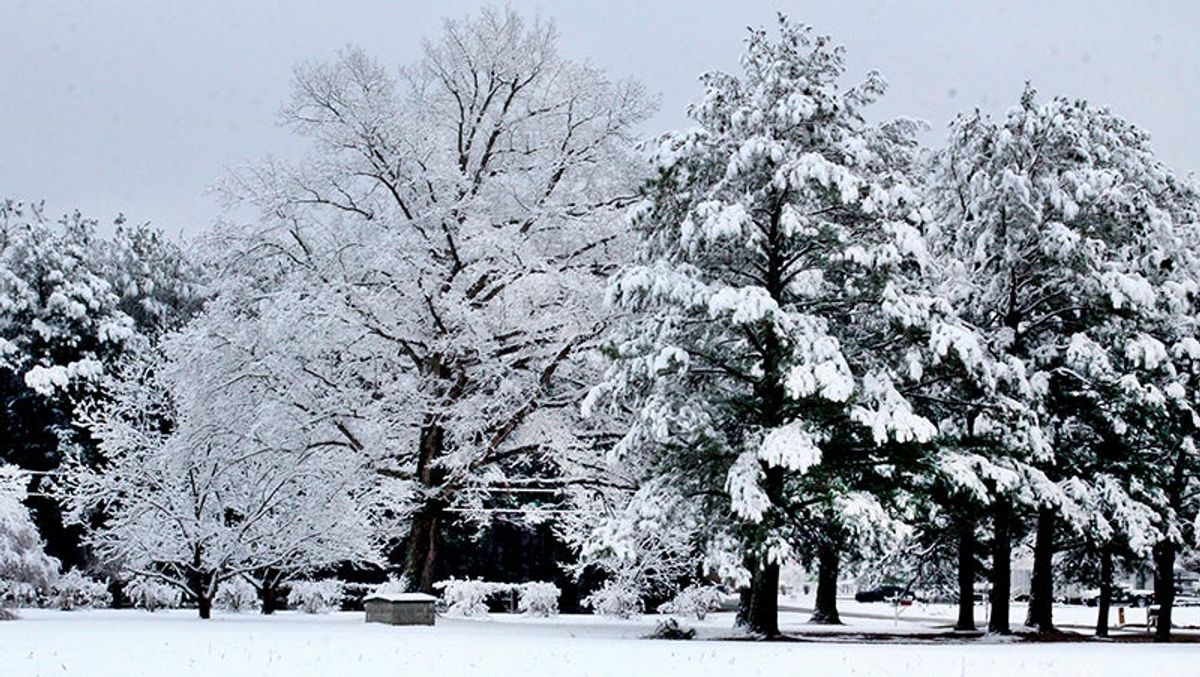 Winter returns
