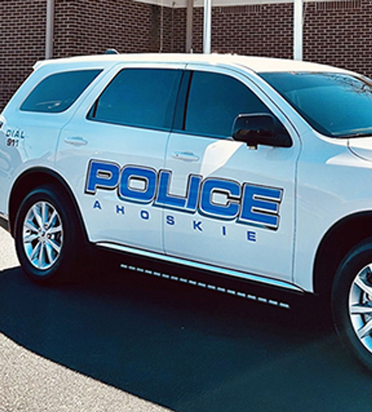 Dog killed in shooting