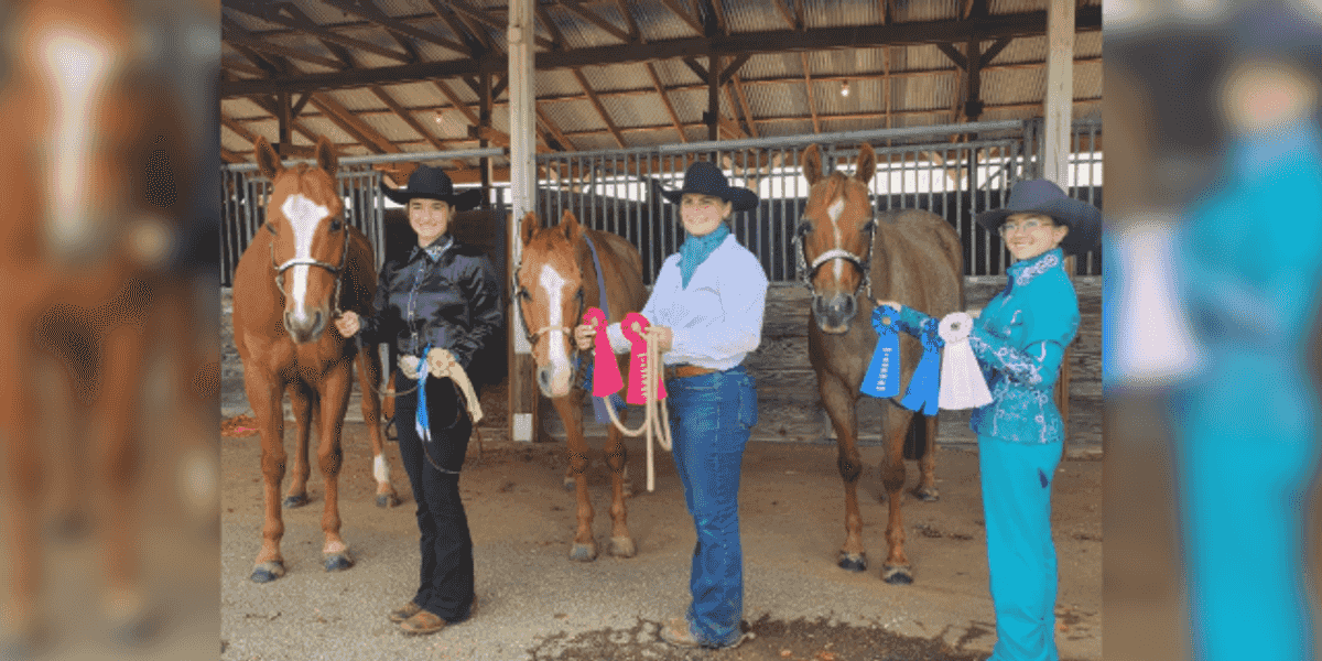 Narasha Merback 4-Hers win at state horse show