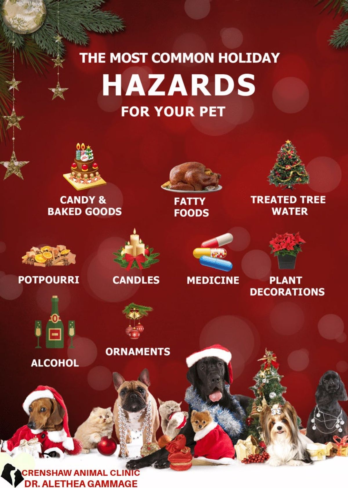 Visual Reference: Pet Owners Urged To Beware Of Festive Hazards