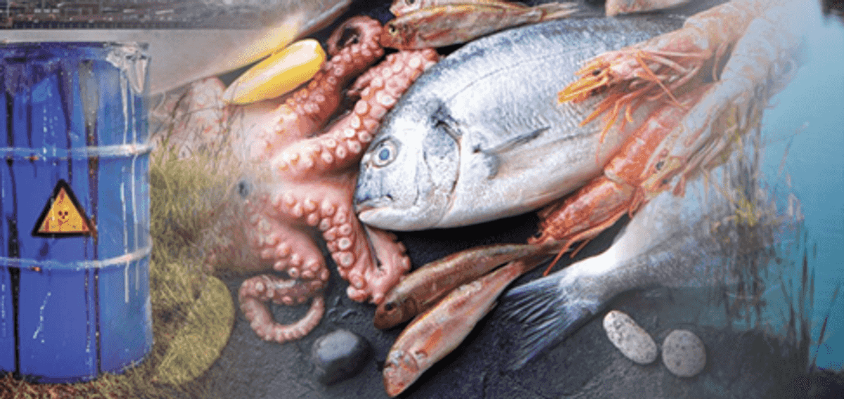 Alabama Department of Public Health issues 2025 Fish Consump...