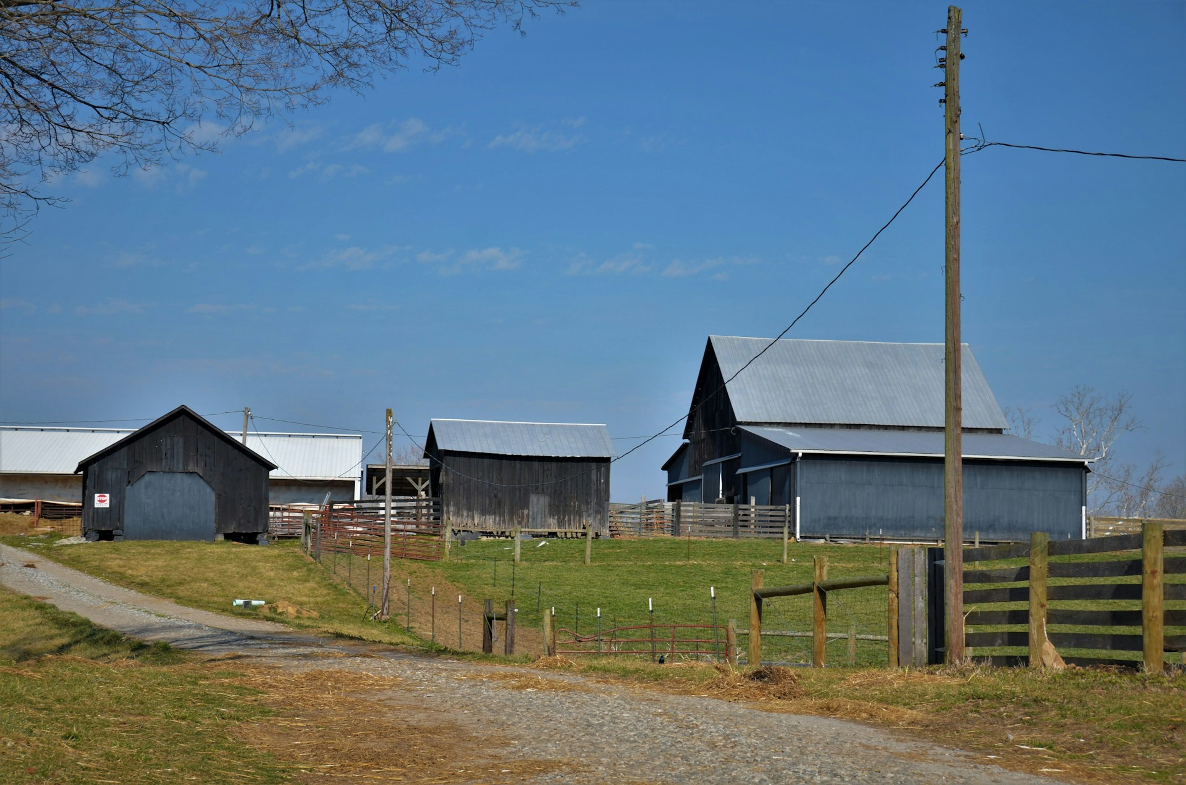 When the Unexpected Strikes in Rural Alabama: How to Stay Fi...