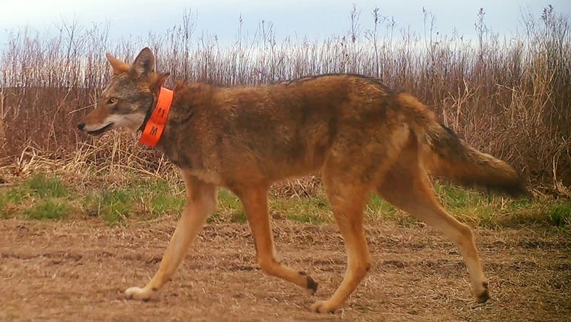 asset_c257b309-4ce7-5b94-8a1e-