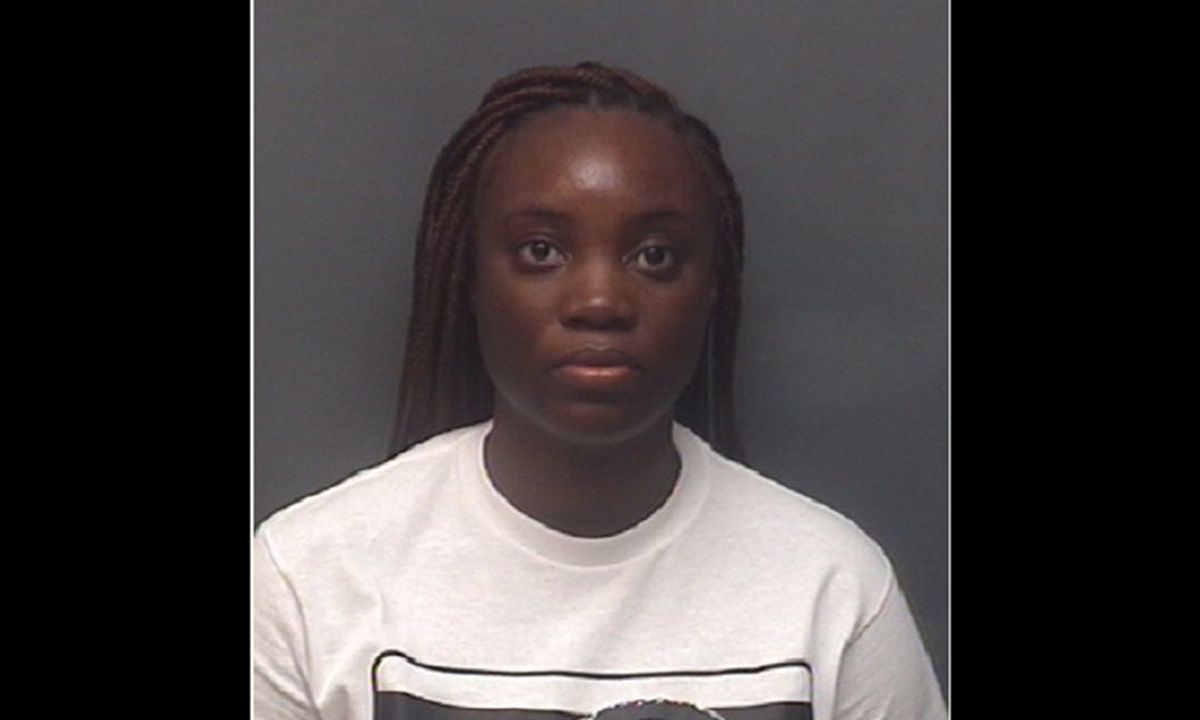 North Carolina woman charged with second-degree murder in hot car deat...