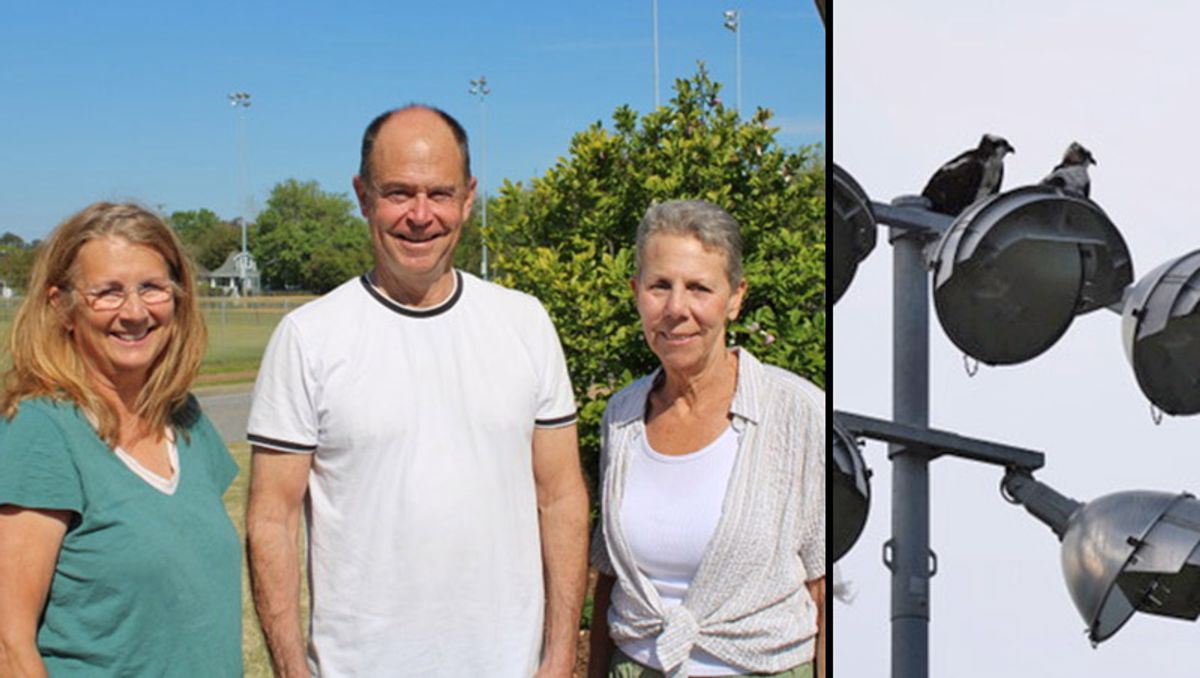 Manteo neighborhood seeks solutions for struggling ospreys