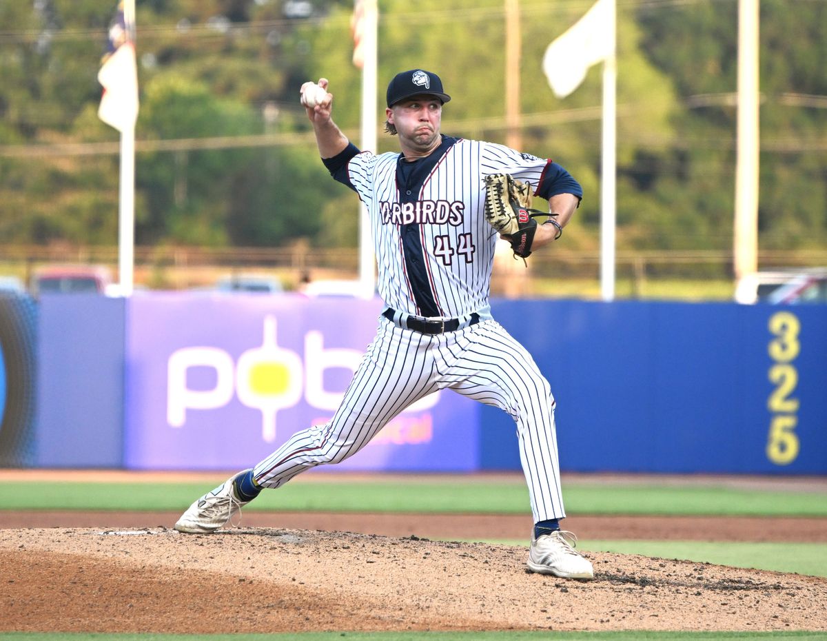 MEET THE WARBIRDS: Schaum takes the road less traveled to Single-A Wilson